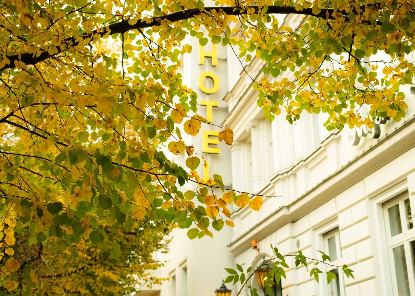 Hôtel indépendant à Lyon — 58 chambres